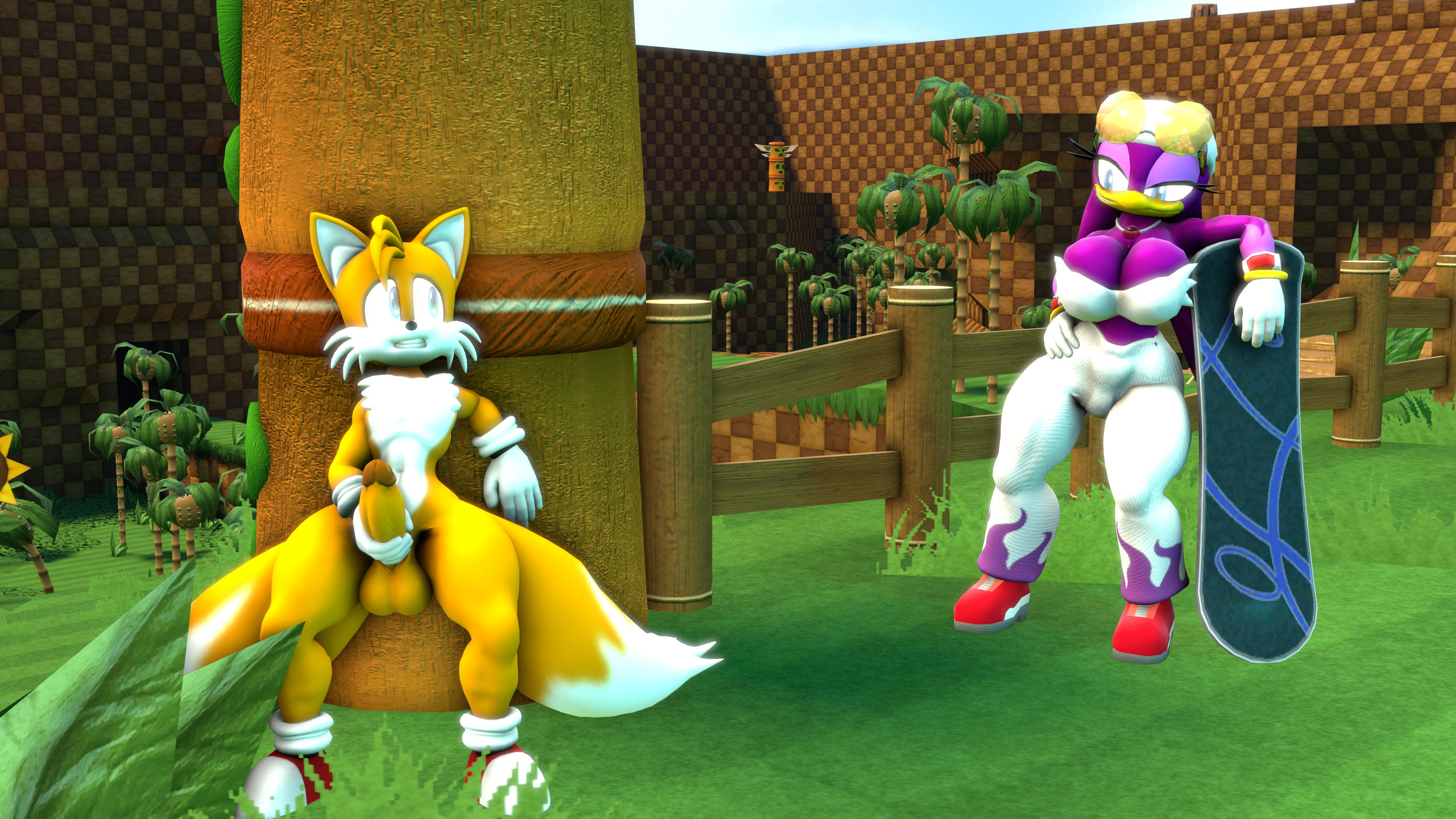 Miles Prower (Sega) Rule 34 Image