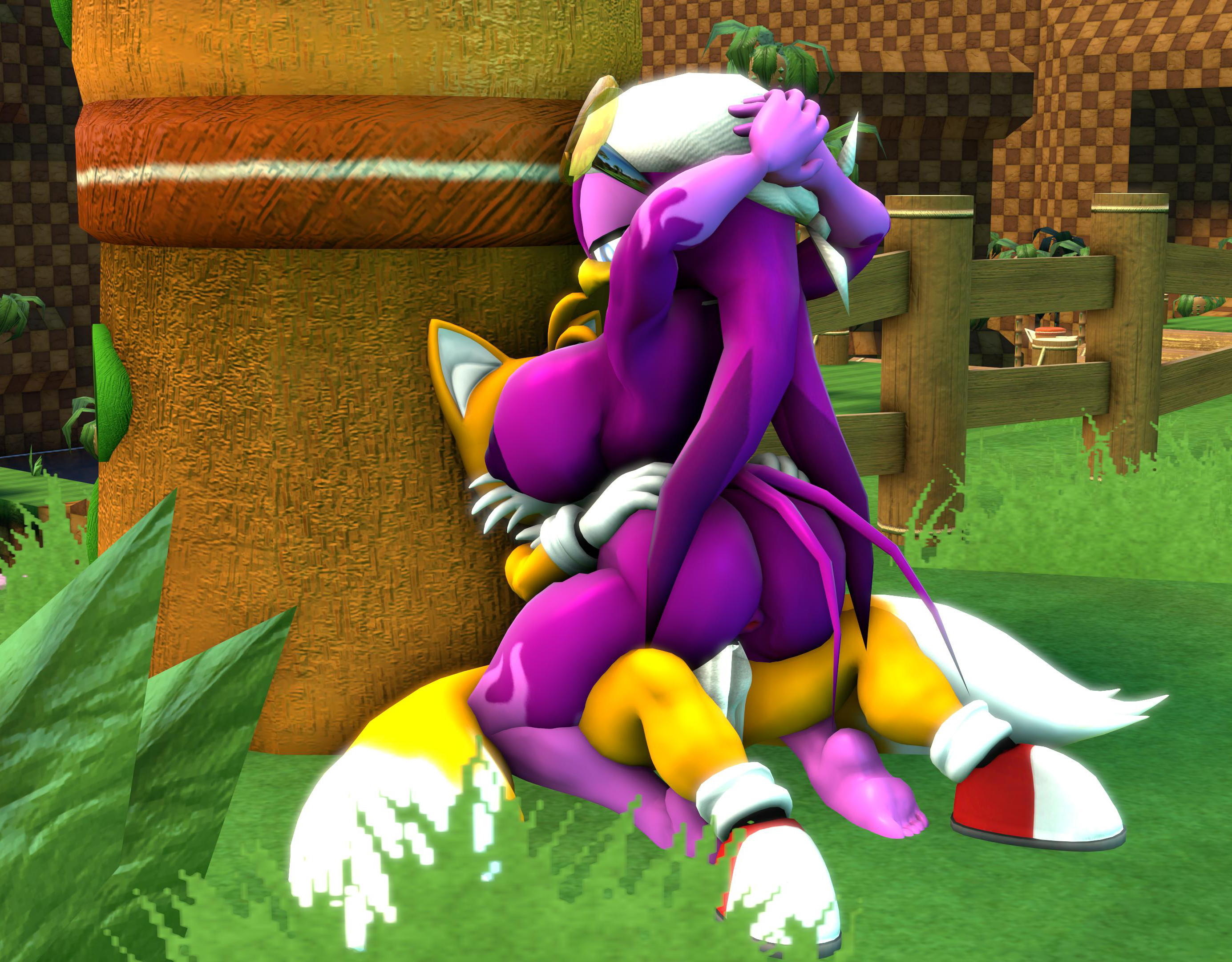 Miles Prower (Sega) Rule 34 Image