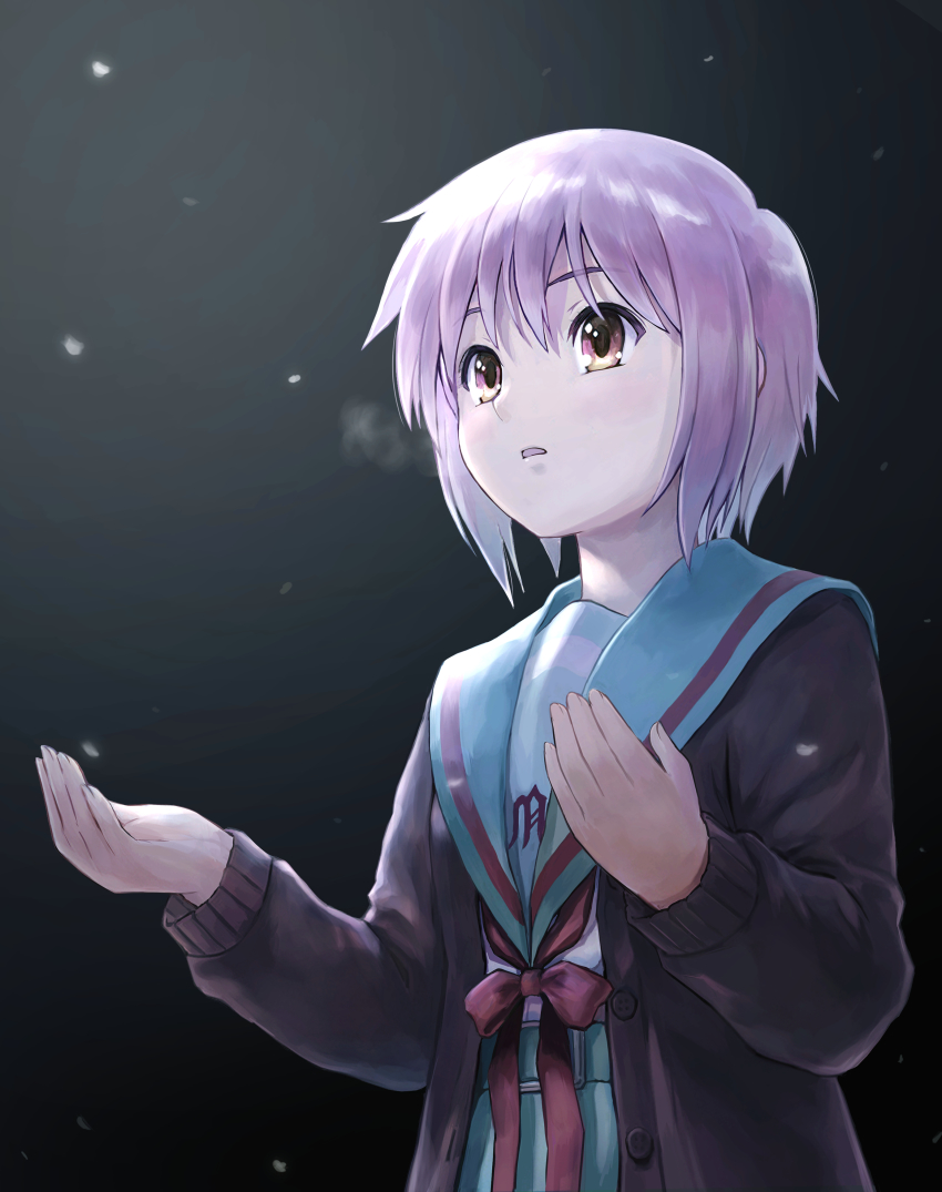 Nagato Yuki (Suzumiya Haruhi No Yuuutsu) Rule 34 Image