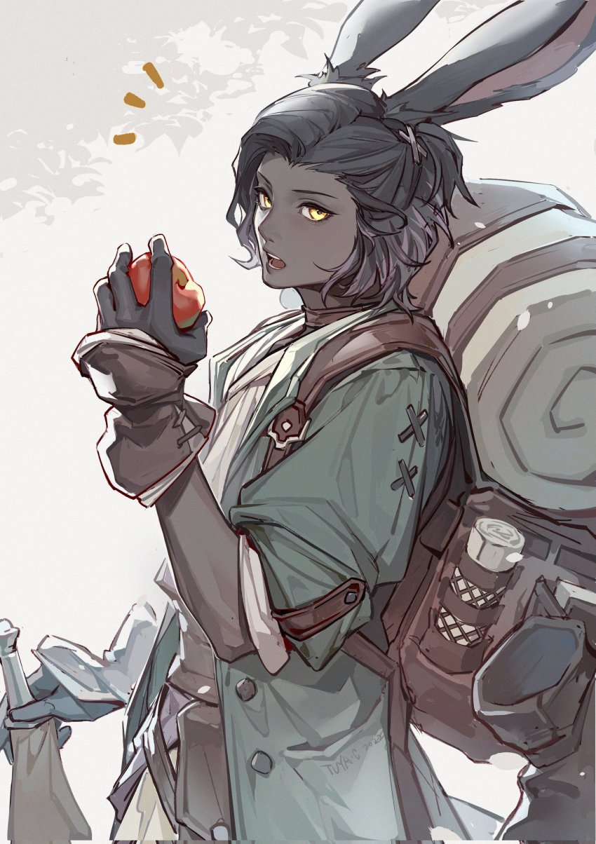 Erenville (Final Fantasy) Rule 34 Image