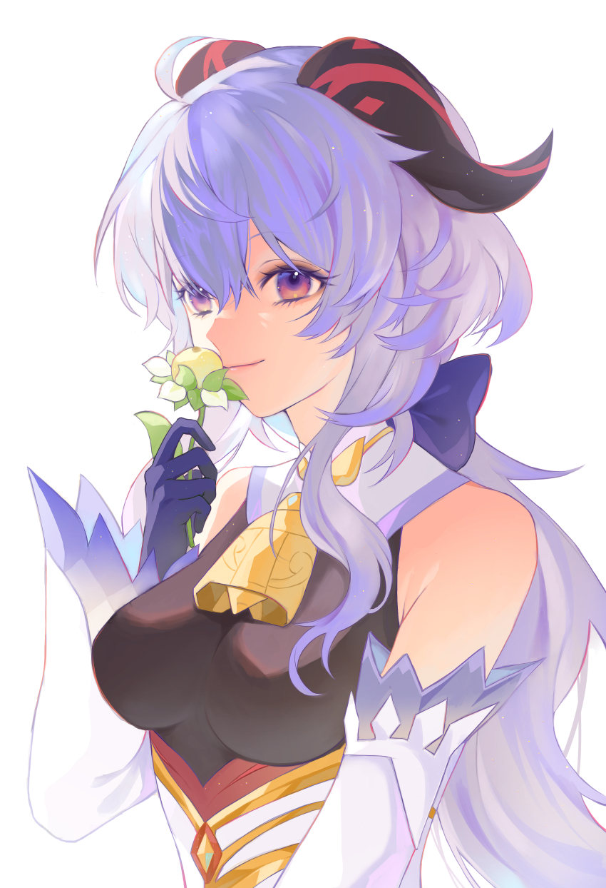 Ganyu (Genshin Impact) Rule 34 Image