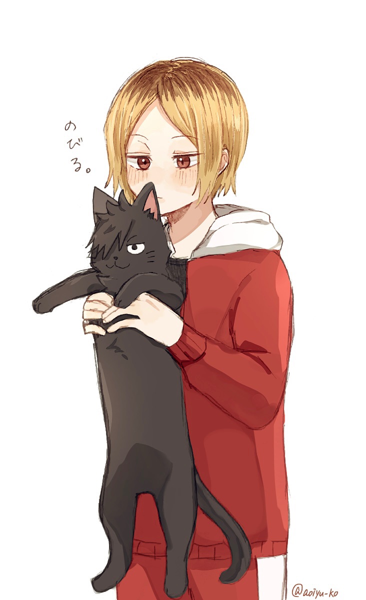 Kuroo Tetsurou (Haikyuu!!) Rule 34 Image