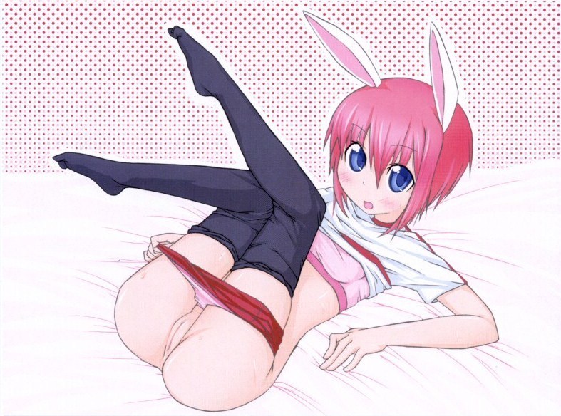 Animal Ear Rule 34 Image