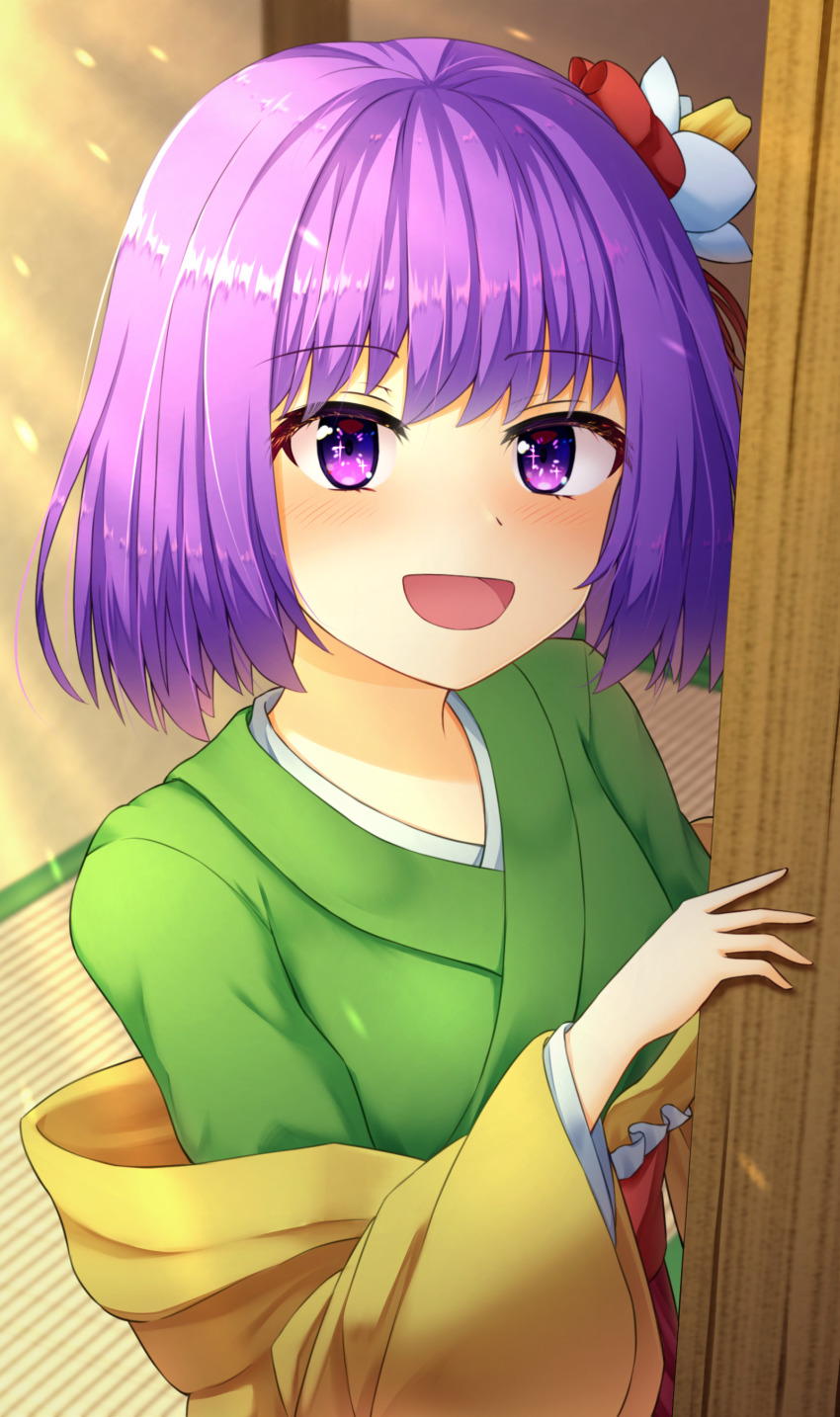 Hieda No Akyuu (Touhou) Rule 34 Image