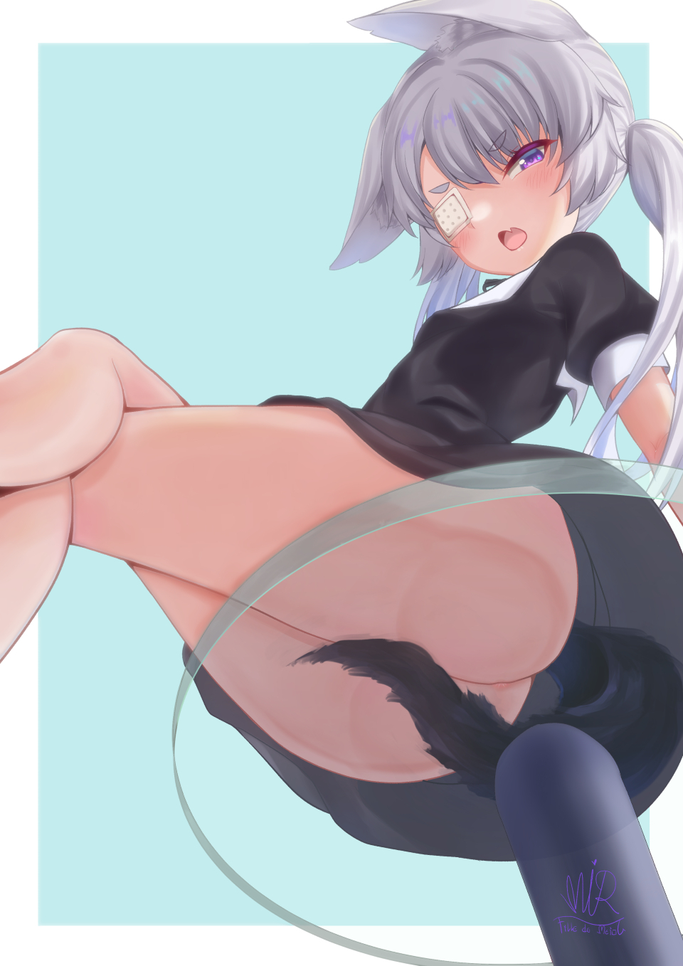 Aircraft Rule 34 Image