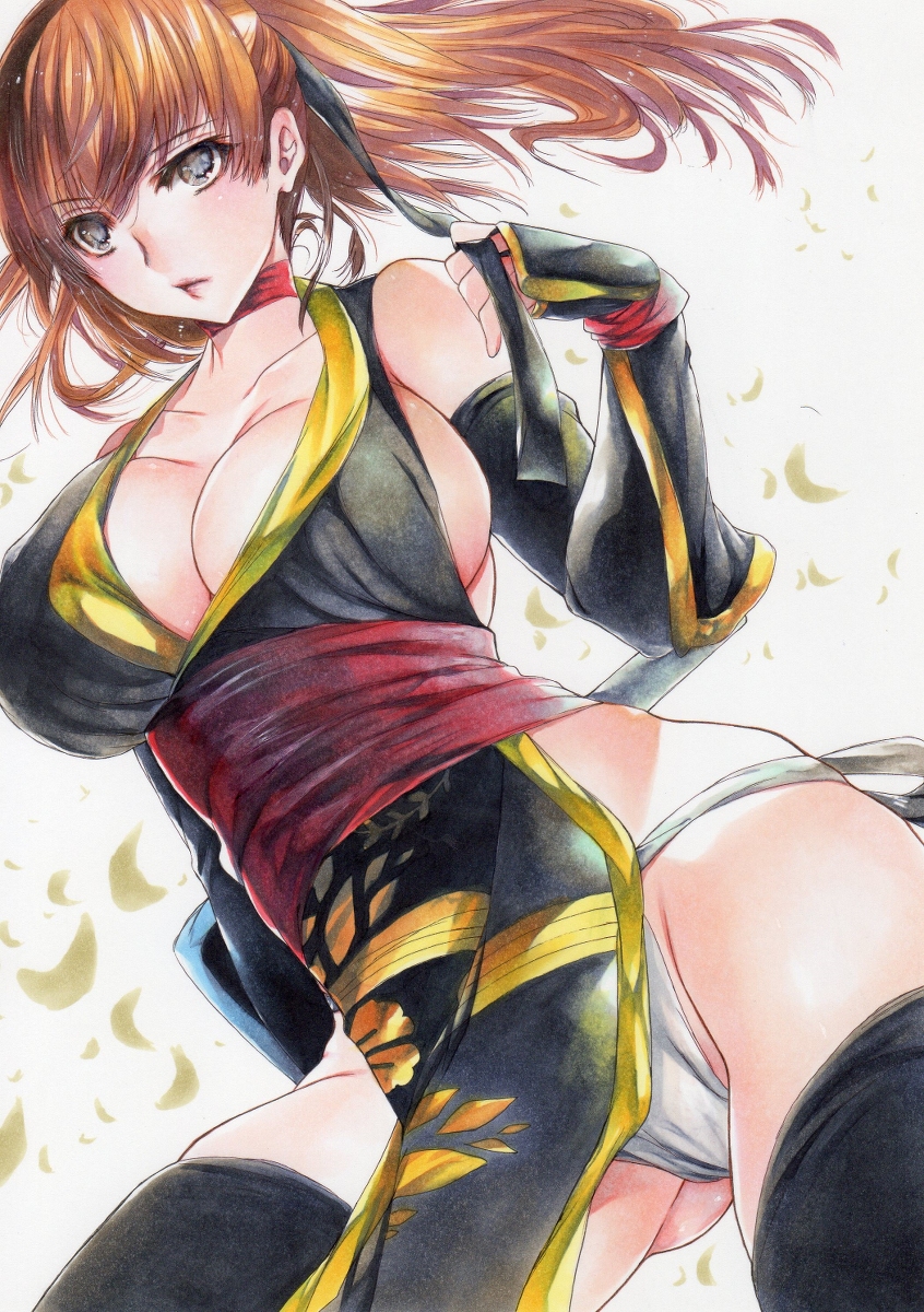 Kasumi (Doa) Rule 34 Image