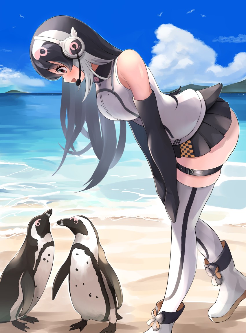 African Penguin (Kemono Friends) Rule 34 Image