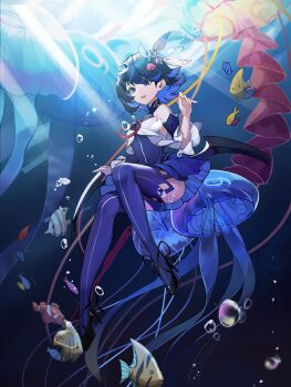 Honkai (Series) Rule 34 Image