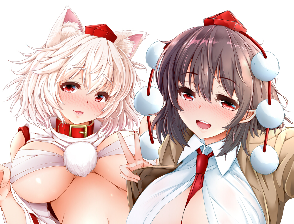 Inubashiri Momiji (Touhou) Rule 34 Image