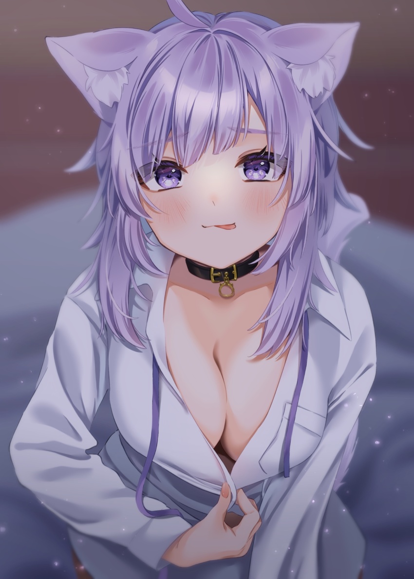 Nekomata Okayu (Hololive) Rule 34 Image