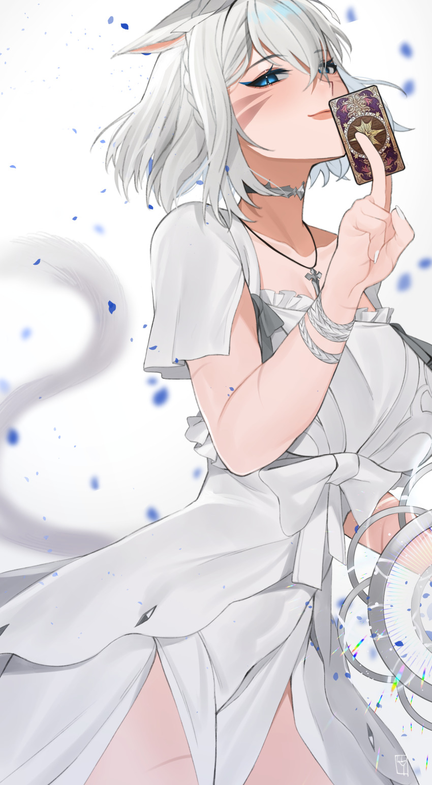 Warrior Of Light (Ff14) Rule 34 Image