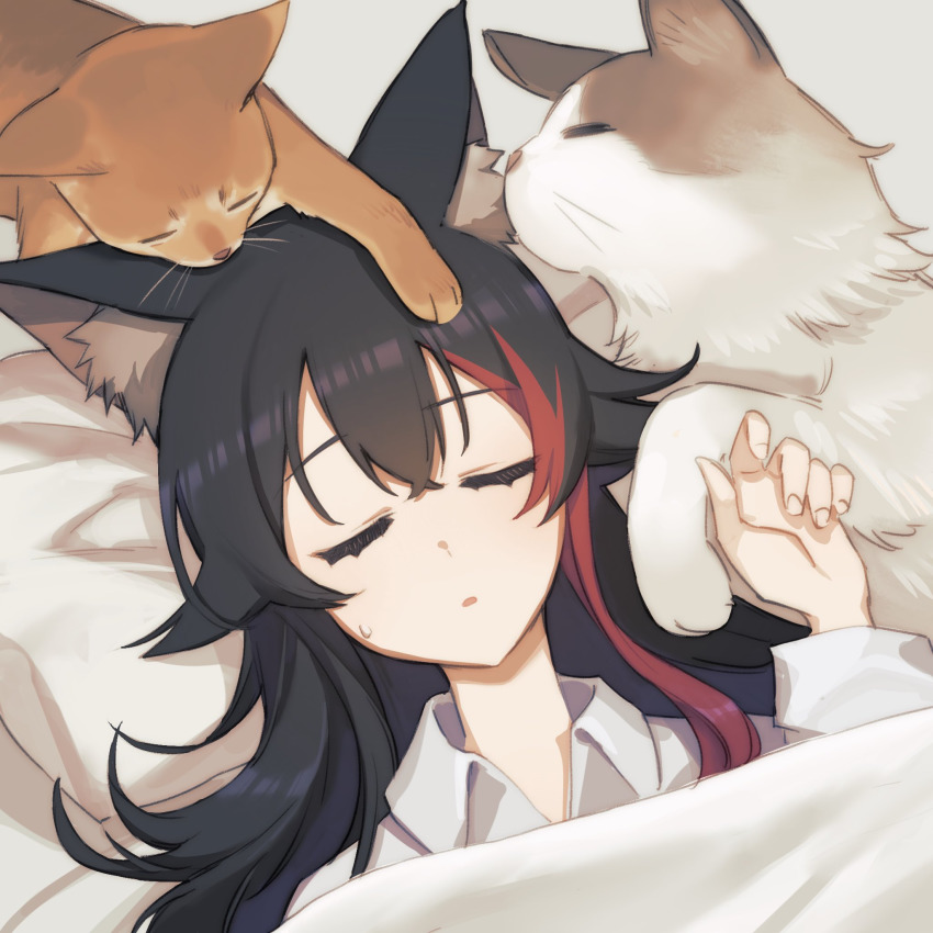 Ookami Mio (Hololive) Rule 34 Image