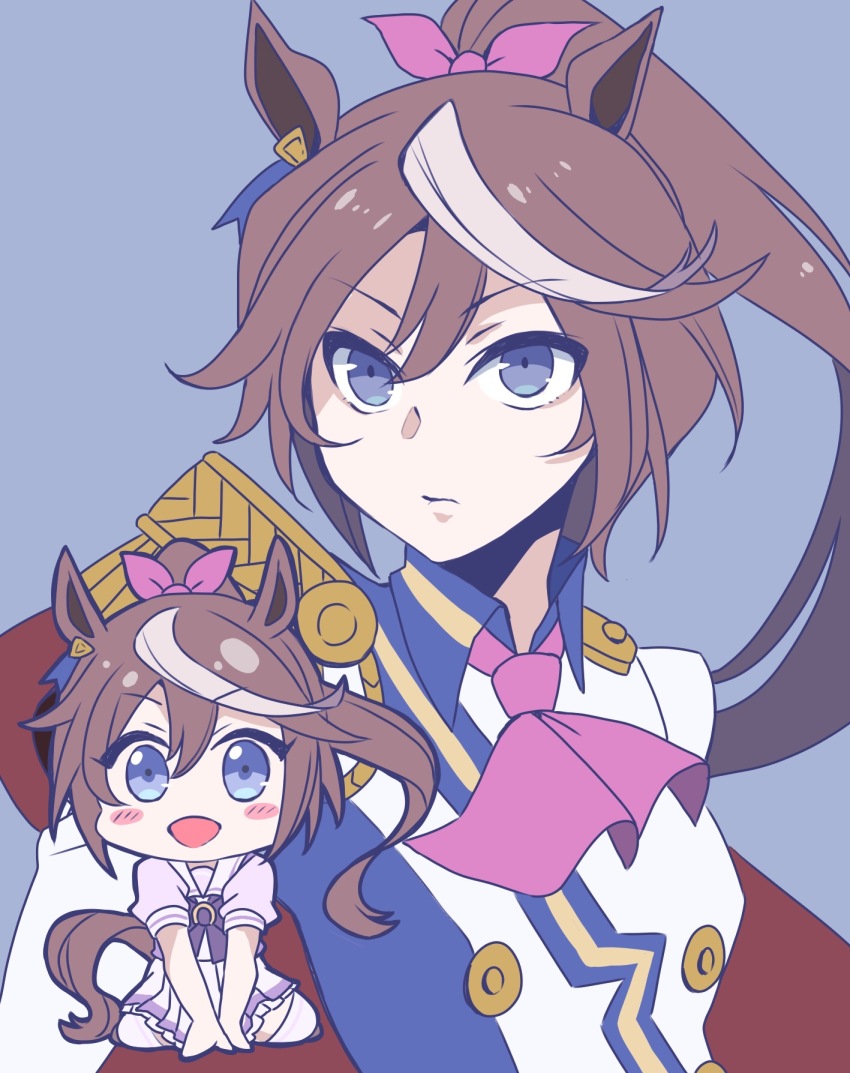 Tokai Teio (Umamusume) Rule 34 Image