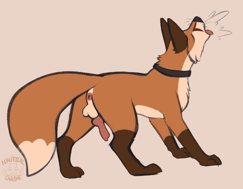 Original Character Rule 34 Image