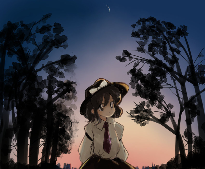 Usami Renko (Touhou) Rule 34 Image