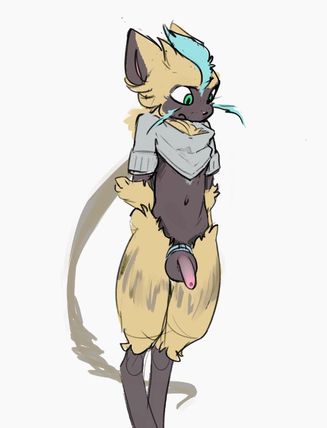 Generation 7 Pokemon (Nintendo) Rule 34 Image
