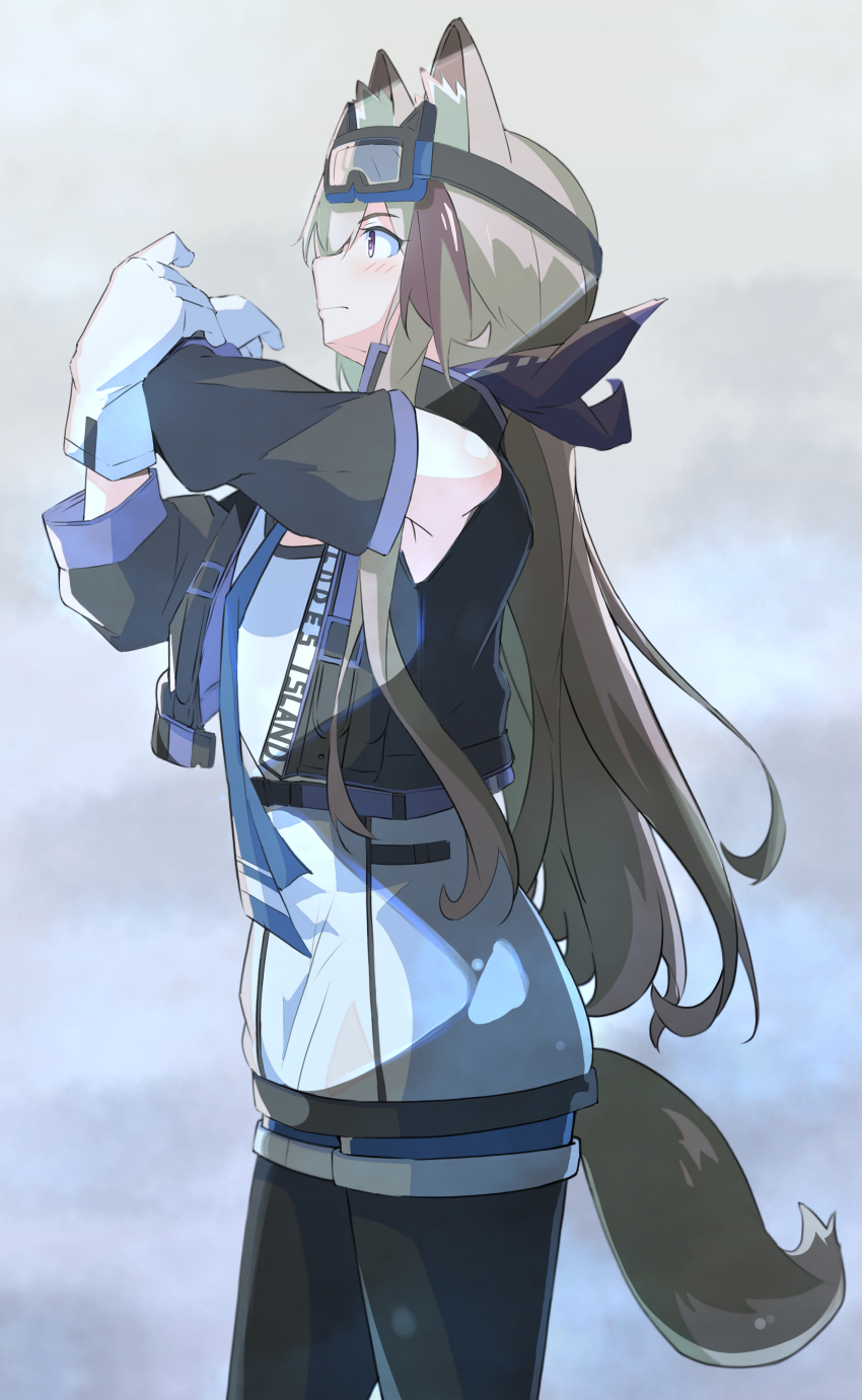Cardigan (Arknights) Rule 34 Image