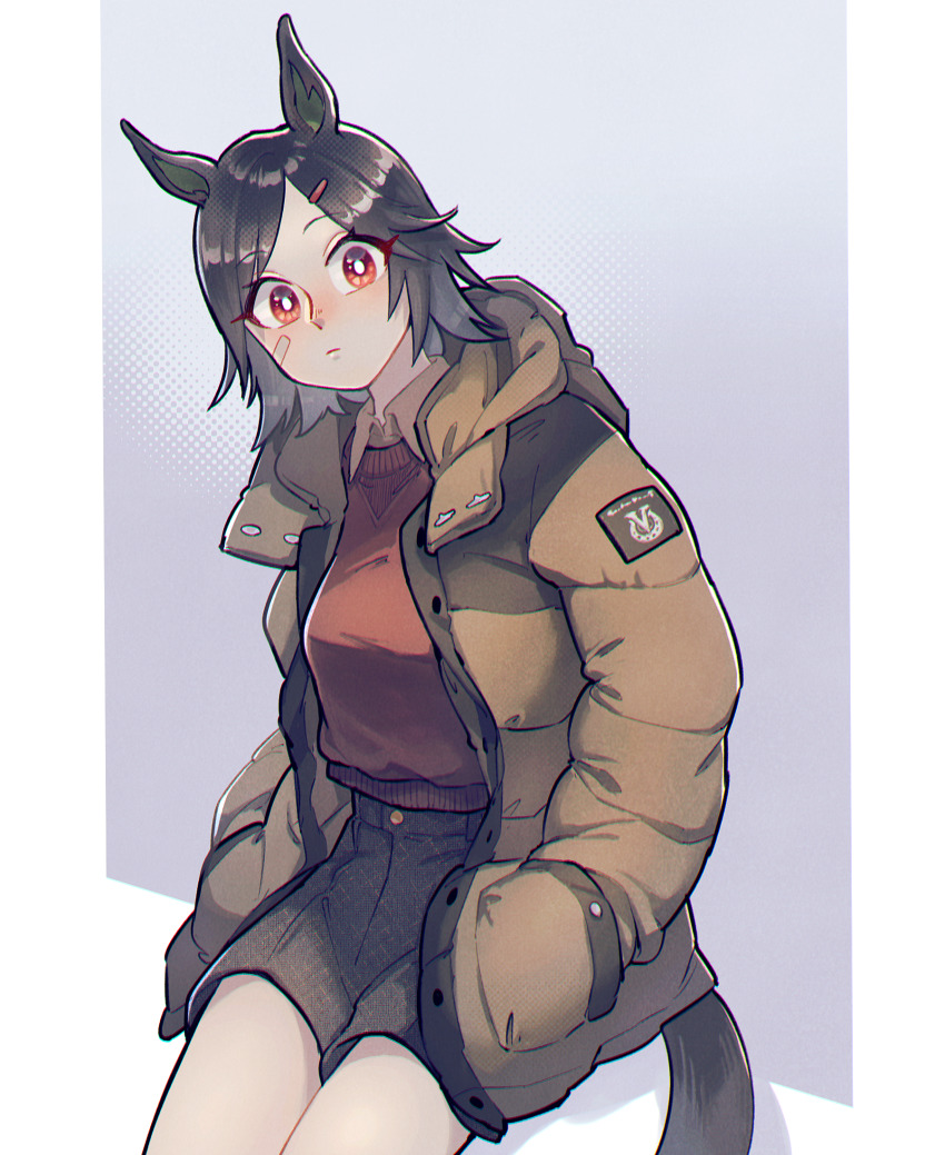 Winning Ticket (Umamusume) Rule 34 Image