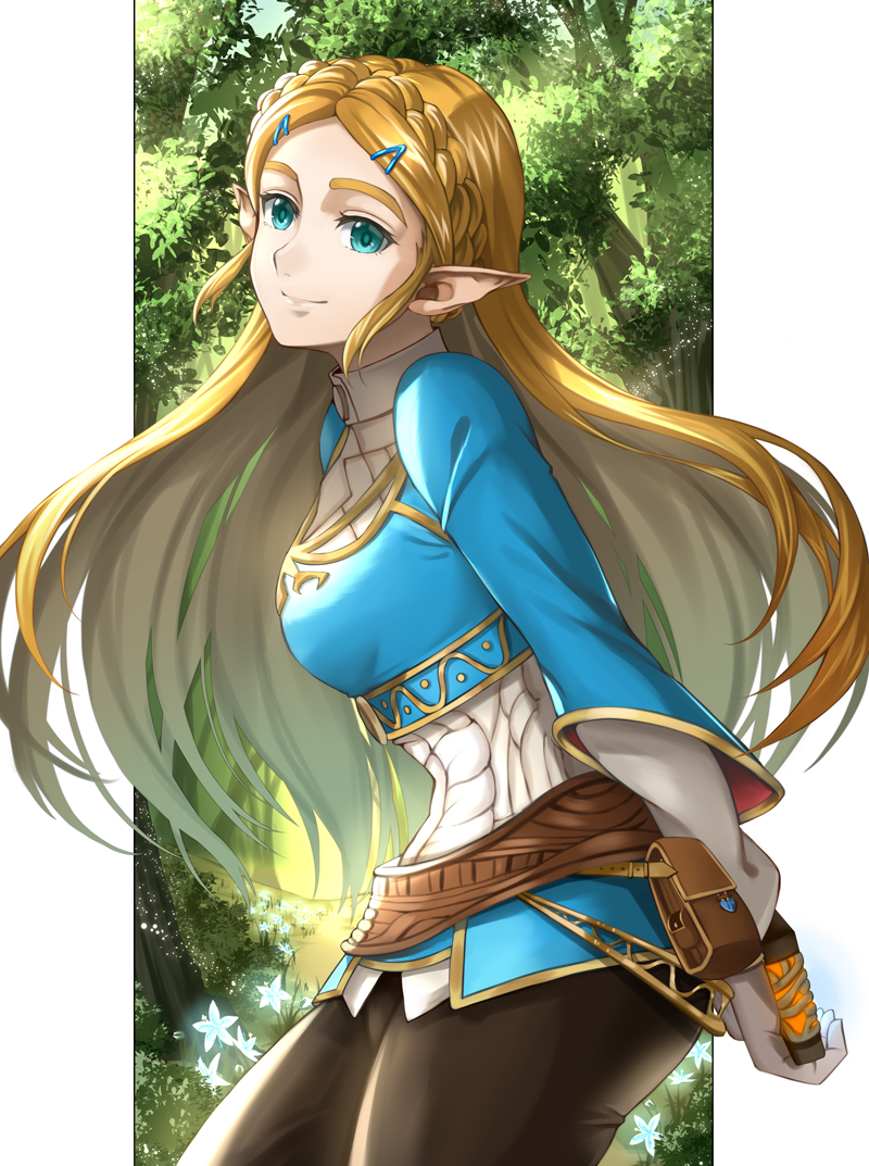 Princess Zelda (Nintendo) Rule 34 Image