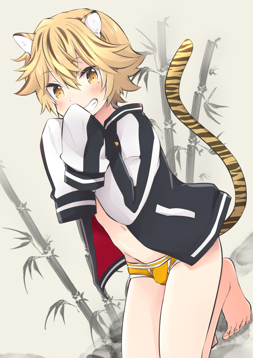 Chinese Zodiac Rule 34 Image