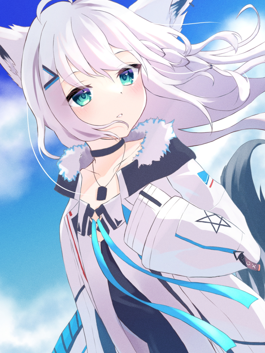 Shirakami Fubuki (Hololive) Rule 34 Image