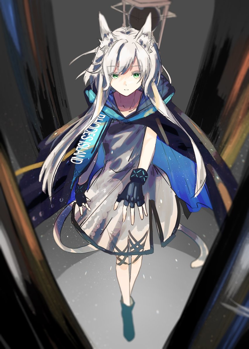 Rosmontis (Arknights) Rule 34 Image