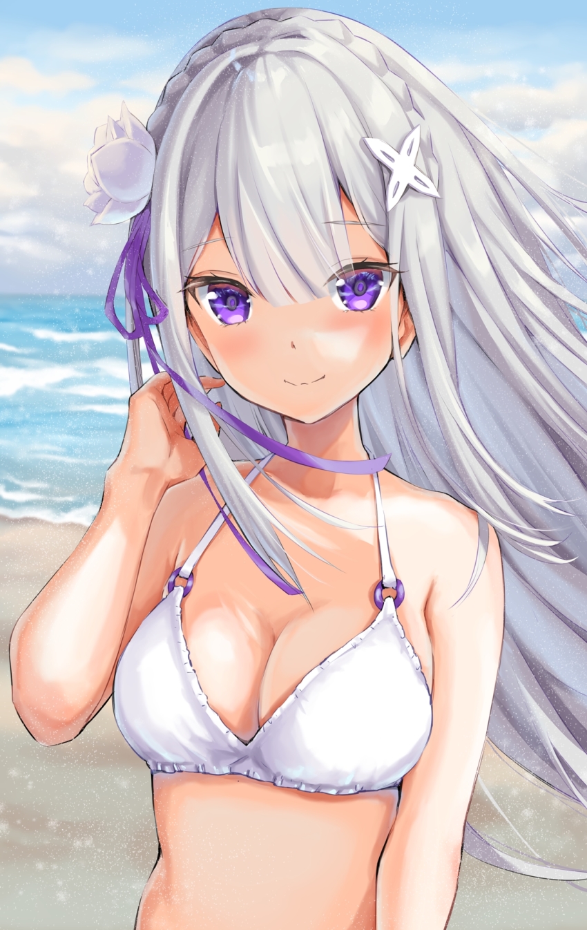 Emilia (Re:Zero) Rule 34 Image