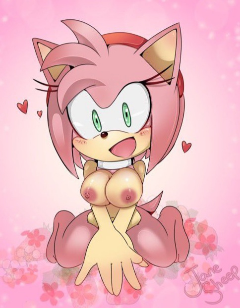 Amy Rose (Sonic (Series)) Rule 34 Image