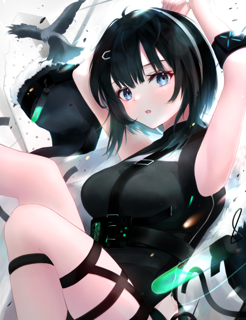 La Pluma (Arknights) Rule 34 Image