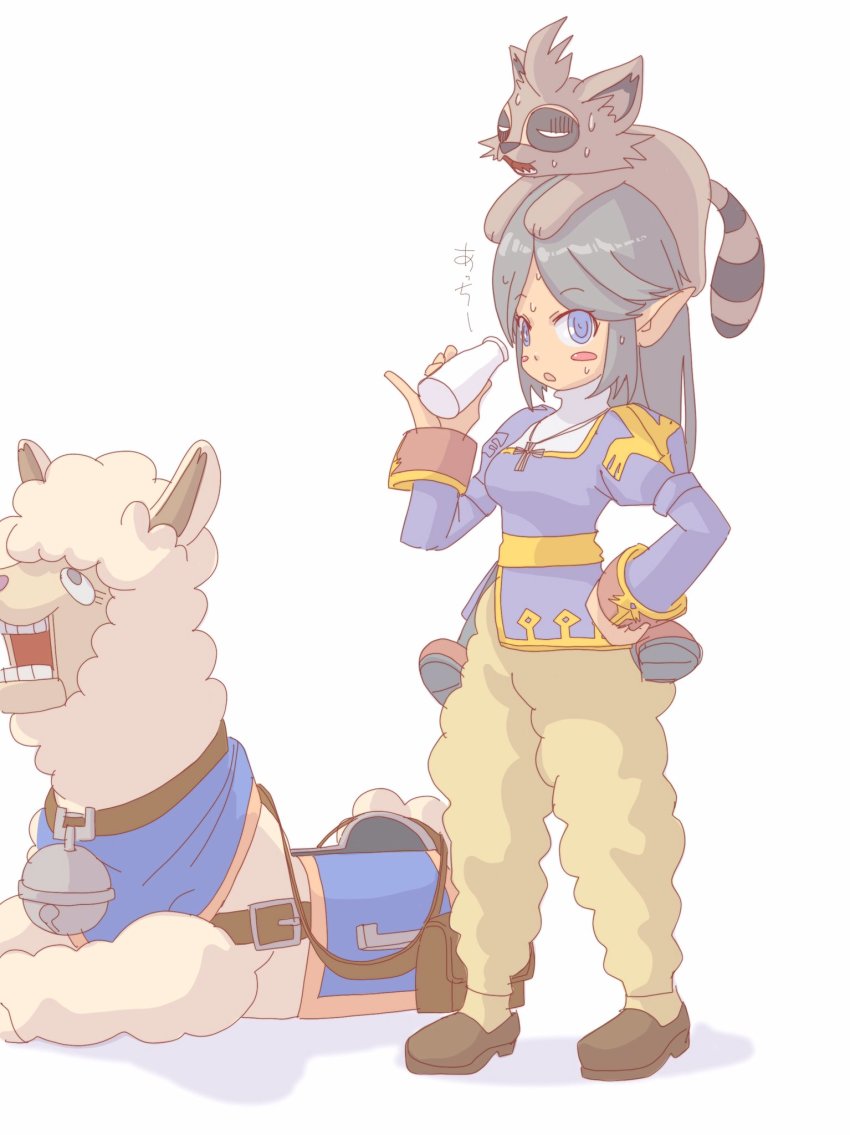 Priest (Ragnarok Online) Rule 34 Image