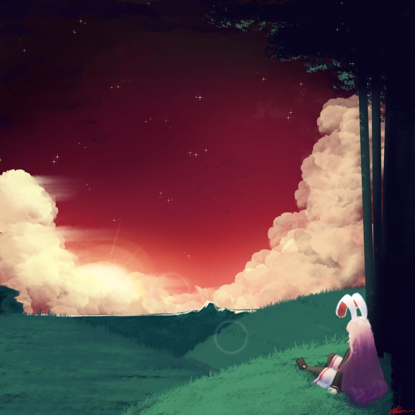 Reisen Udongein Inaba (Touhou) Rule 34 Image