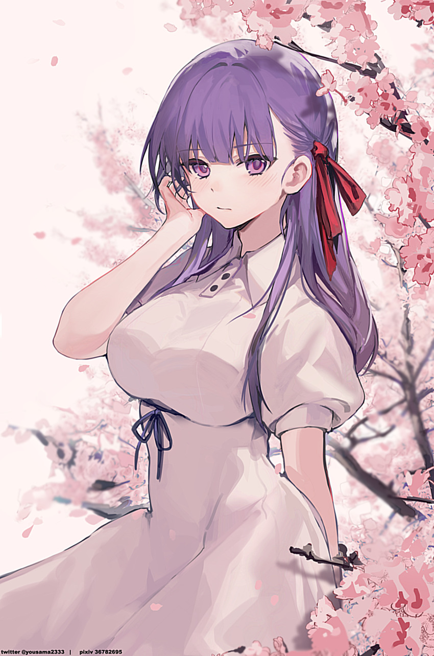 Matou Sakura (Fate/Stay Night) Rule 34 Image