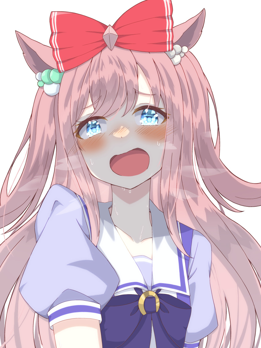 Agnes Digital (Umamusume) Rule 34 Image