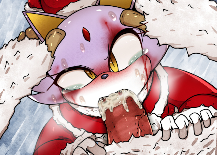 Blaze The Cat (Christmas) Rule 34 Image