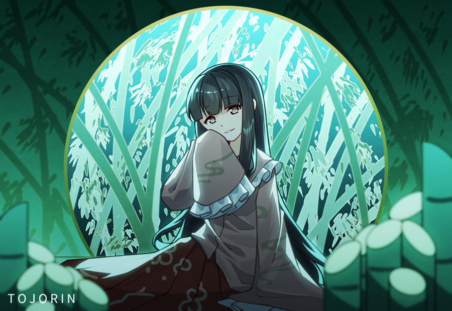 Houraisan Kaguya (Touhou) Rule 34 Image
