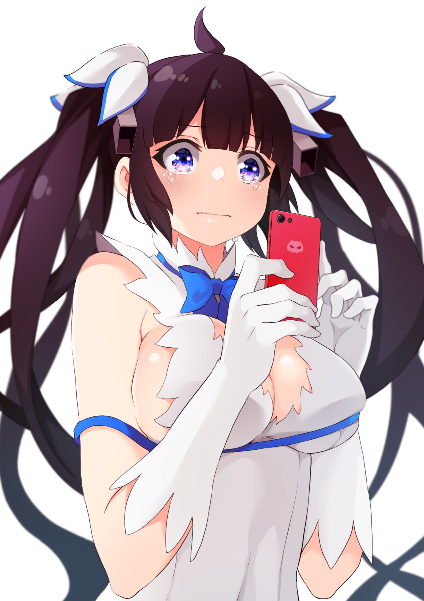 Hestia (Danmachi) Rule 34 Image