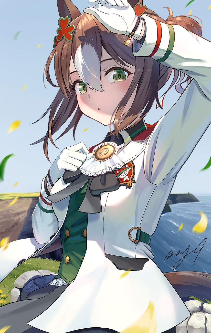 Fine Motion (Umamusume) Rule 34 Image