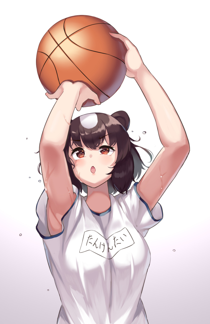 Brown Bear (Kemono Friends) Rule 34 Image