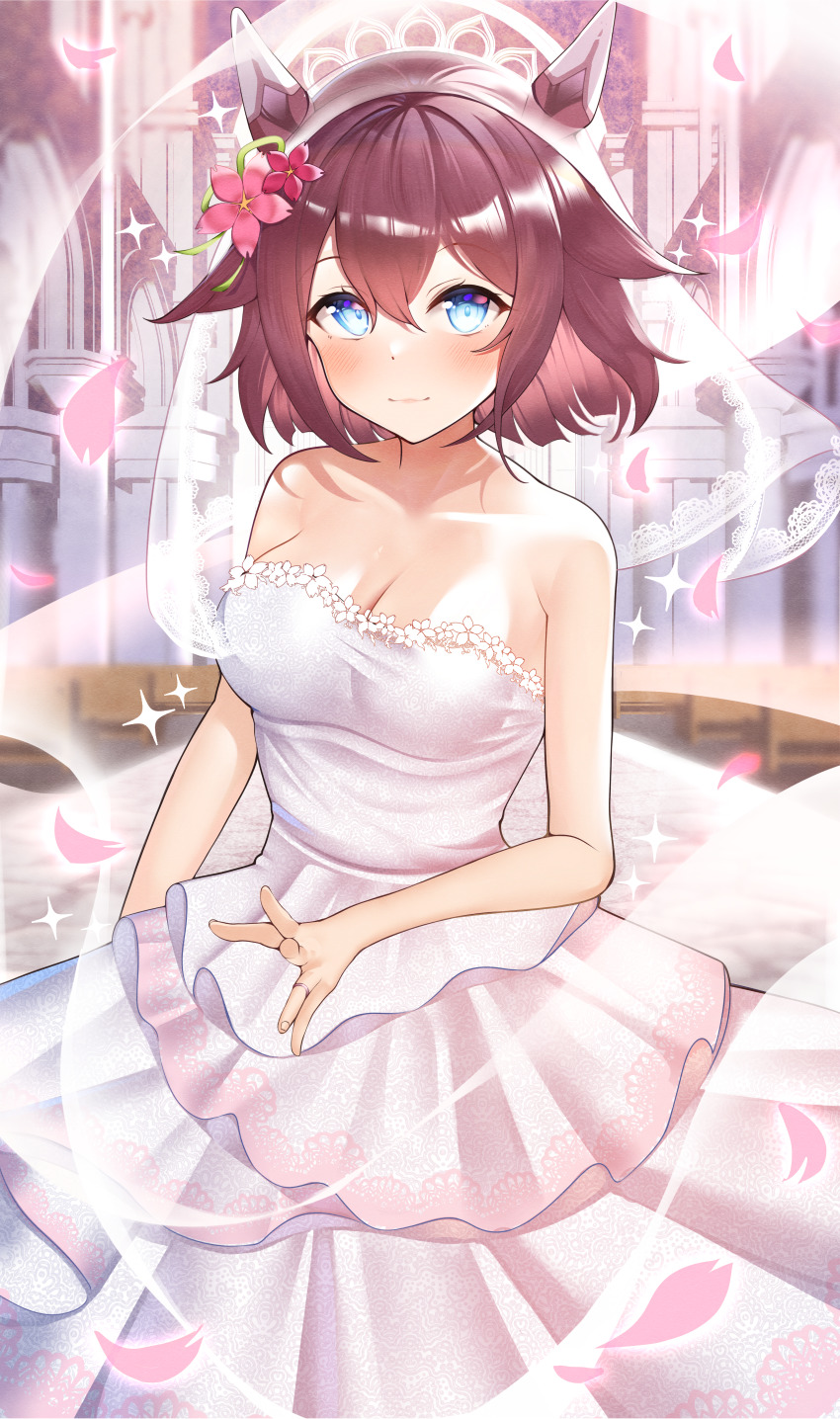 Sakura Chiyono O (Umamusume) Rule 34 Image