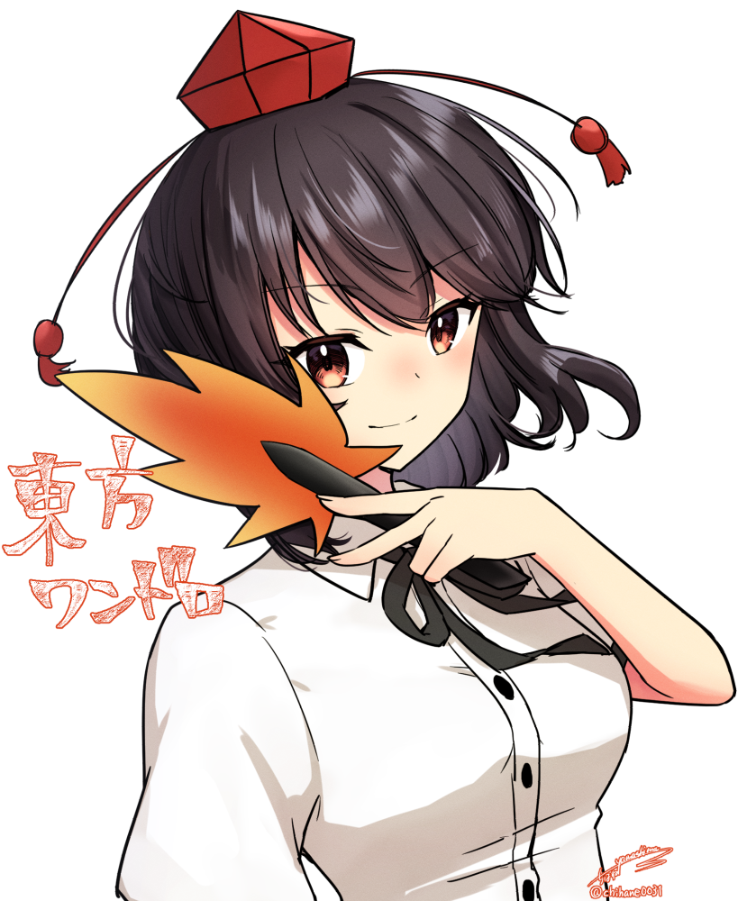 Shameimaru Aya (Touhou) Rule 34 Image