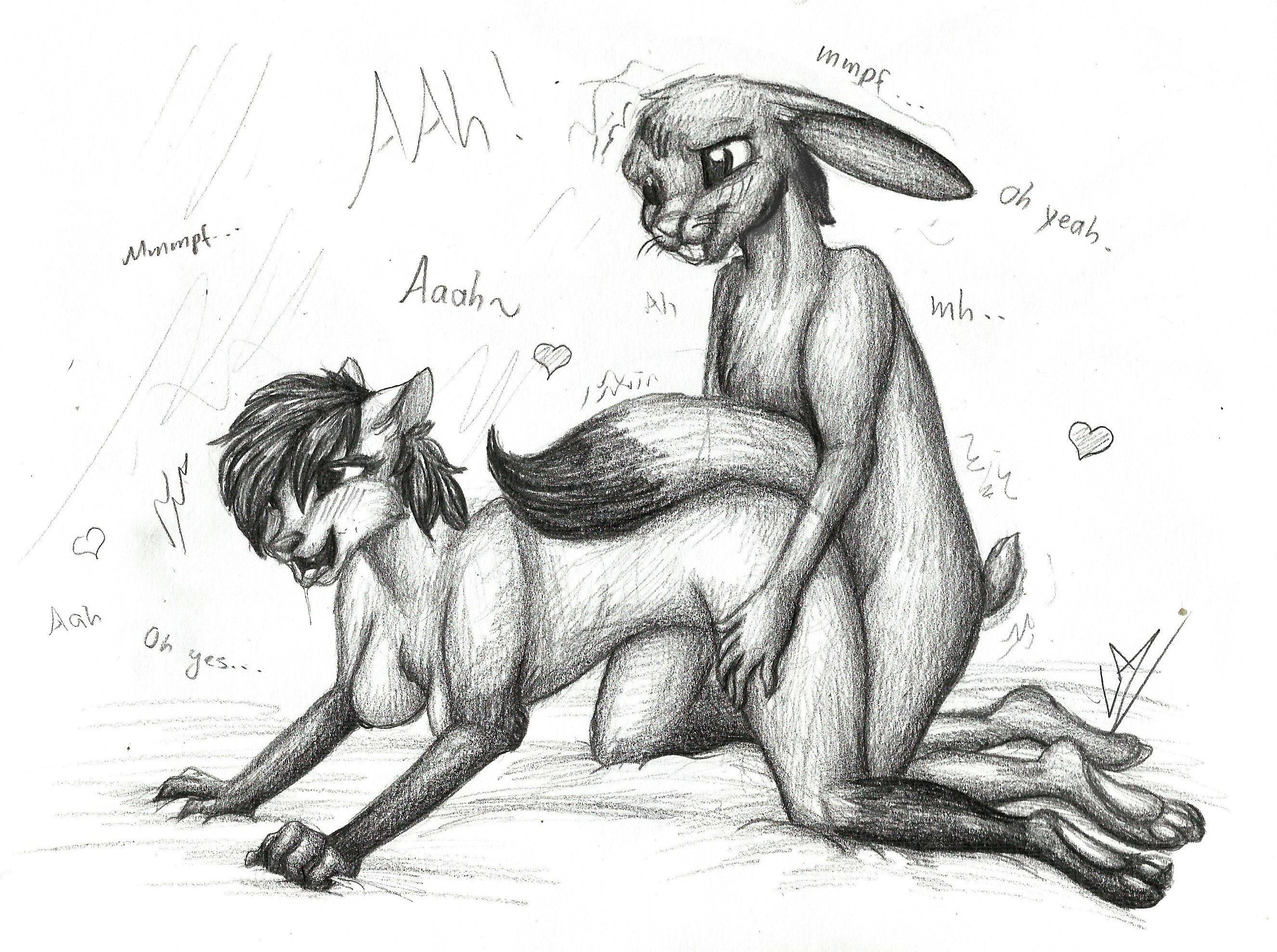 Bavillabunn3 Rule 34 Image