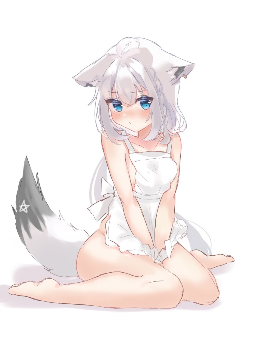 Shirakami Fubuki (Hololive) Rule 34 Image