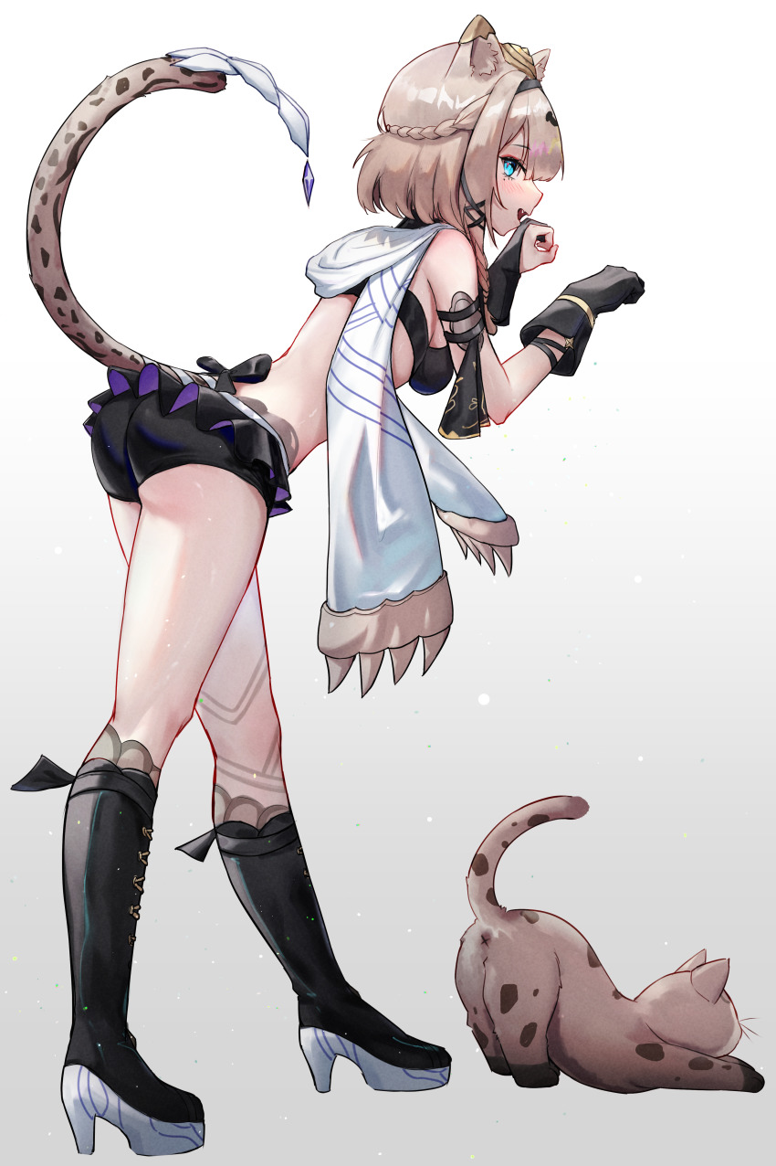 Pardofelis (Reverist Calico) Rule 34 Image