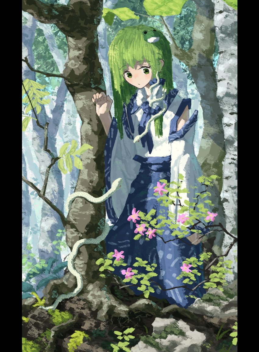 Kochiya Sanae (Touhou) Rule 34 Image
