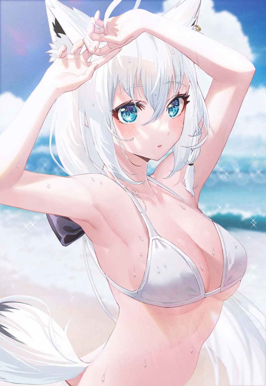 Shirakami Fubuki (Hololive) Rule 34 Image