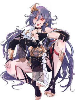 Honkai (Series) Rule 34 Image