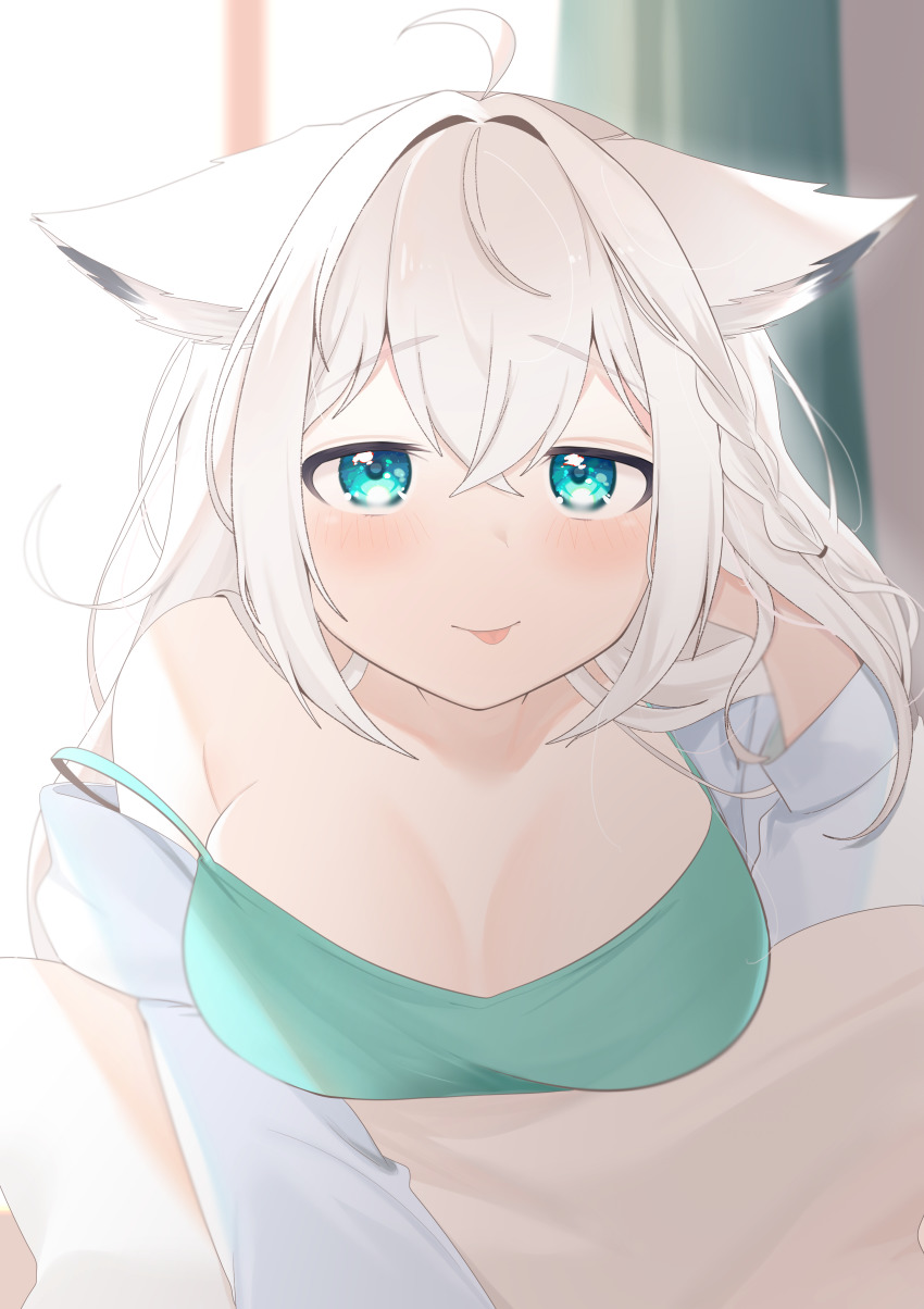 Shirakami Fubuki (Hololive) Rule 34 Image