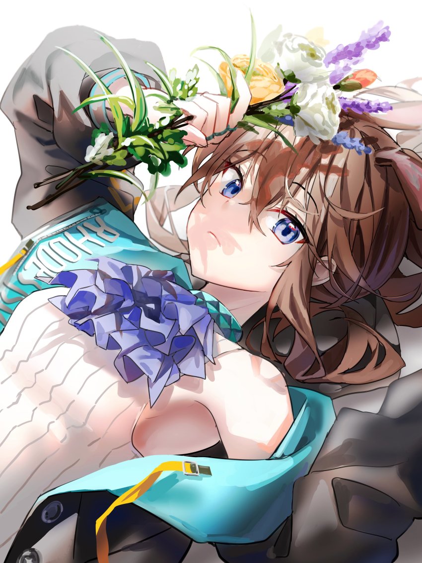 Amiya (Arknights) Rule 34 Image