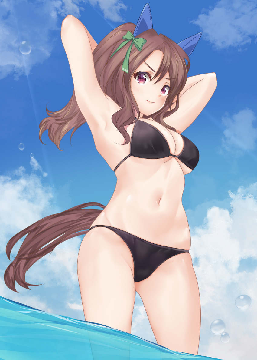 King Halo (Umamusume) Rule 34 Image