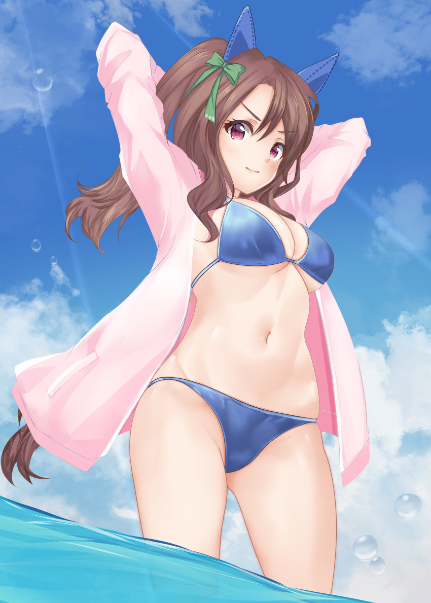 King Halo (Umamusume) Rule 34 Image